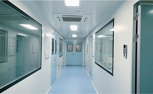 Cleanroom Laboratory Corridor & Facility Layout
